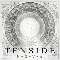 Creator - Tenside