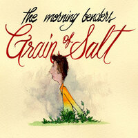 Chasing A Ghost - The Morning Benders