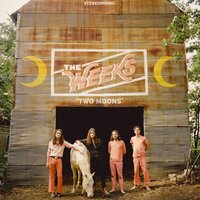 Scared of the Sunshine - The Weeks