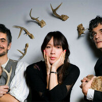 Blonde Redhead