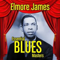 Rock My Baby Tonight - Elmore James