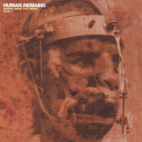 Human Remains