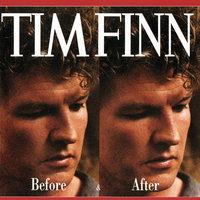Persuasion - Tim Finn