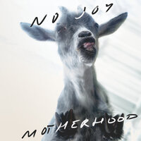 Nothing Will Hurt - No Joy