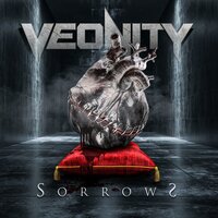 Graced or Damned - Veonity