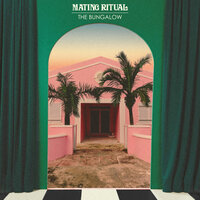 The Bungalow - Mating Ritual