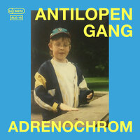 Kritisch hinterfragt - ANTILOPEN GANG