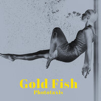 Free - Phototaxis
