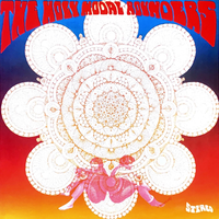 The I.W.W. Song - The Holy Modal Rounders