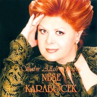 Günün Birinde - Neşe Karaböcek