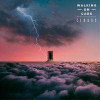 All the Drinks - Walking On Cars
