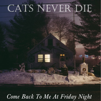 Good Night My Little Owl - Cats Never Die