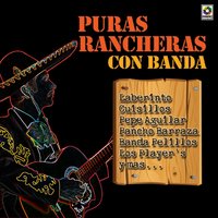 Esta Tristeza Mia - Pepe Aguilar