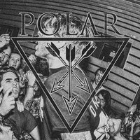 Create - Polar.