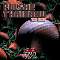 Pulsar