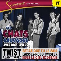 Le jour J - Les Chats Sauvages