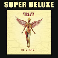 Marigold - Nirvana