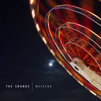 Animal - The Sounds