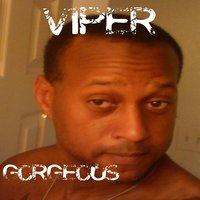 The Diamonds on the Best Piece and Chain Ever Made - Viper