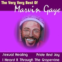 Stop, Look, Listen (To Your Heart) - Diana Ross, Marvin Gaye