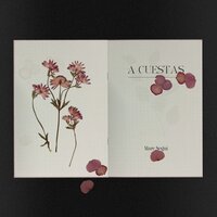 A cuestas - Marc Segui