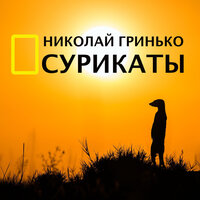 Сурикаты - Николай Гринько