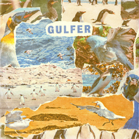 Mall Song - Gulfer