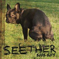 No Shelter (NCIS Soundtrack) - Seether