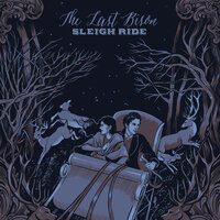 Over The River - The Last Bison
