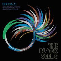 Slingshot - The Black Seeds, Truth