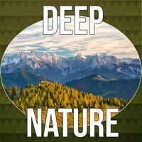 Insomnia (Beautiful Nature Sounds) - Lovely Nature Music Zone