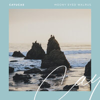 Mooney Eyed Walrus - Cayucas