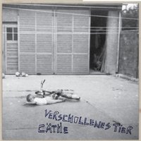 Waffen niederlegen - Cathe