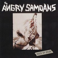 Inside My Brain - Angry Samoans