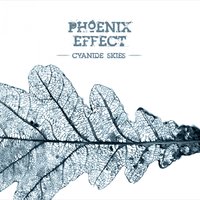 King See No Evil - Phoenix Effect, Marko Saaresto