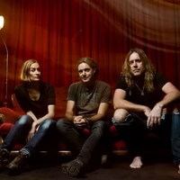 Spiderbait