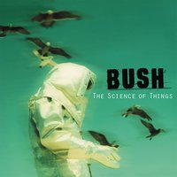Prizefighter - Bush