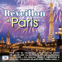 Bonne année - Bourvil