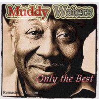 I Live the Life I Love, I Love the Life I Live - Muddy Waters