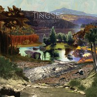 Where You Gonna Go? - Tingsek