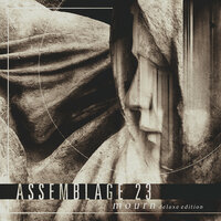 Dissonance - Assemblage 23