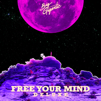 St. Lucia - Big Gigantic, Felly