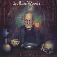 The Recalcitrant Protagonist - In The Woods...