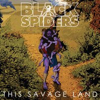 Black Spiders