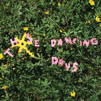 Those Dancing Days - Those Dancing Days, Detektivbyrån