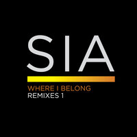 Where I Belong - Sia, Roni Size