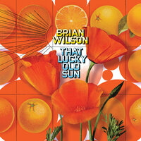 Morning Beat - Brian Wilson