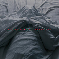 Introduction - Sleeping wolf