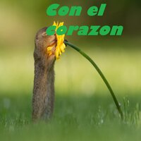 Búscate Otro Mujer - Raulin Rodriguez