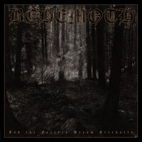 Transylvanian Forest - Behemoth